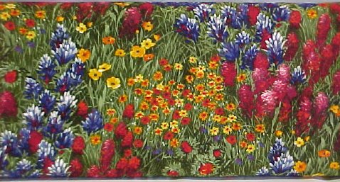 Texas Wildflowers