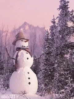 Snowfall